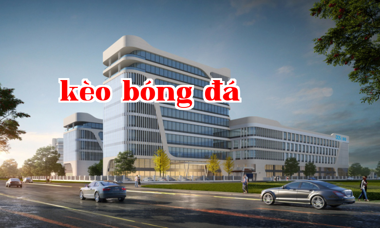 Số 7 Đường Quang Nguyên, Khu công nghiệp Đồng Hướng, Khu công nghiệp Công nghệ cao Hạ Môn, tỉnh Phúc Kiến